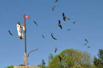 Le Bal des Oiseaux Fant�mes