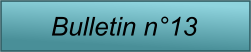 Bulletin n�13